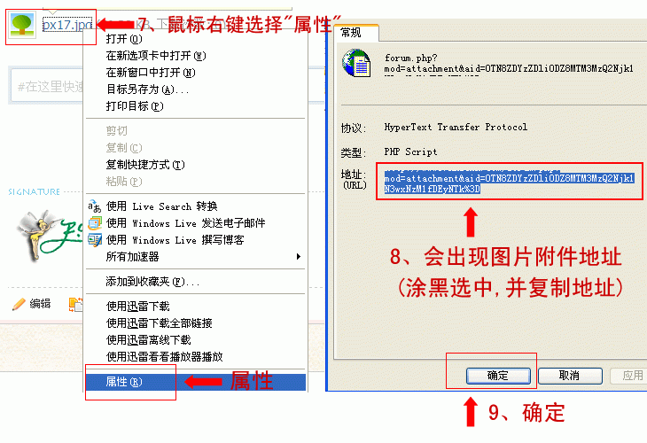 J05.gif
