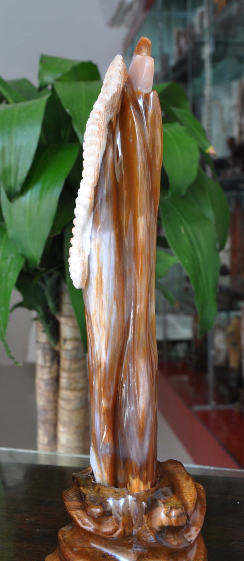 节节向上