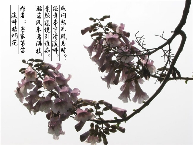 QQ图片20140731172812.jpg