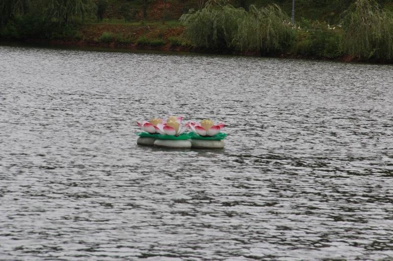 调整大小 IMG_5158.JPG