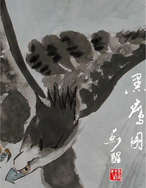 黑鹰图.JPG