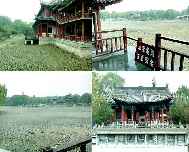 清照词园组合.jpg
