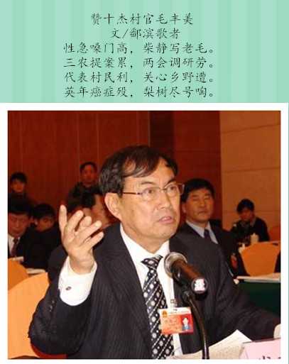 赞十杰村官毛丰美.jpg