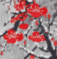 QQ图片20150209231959.png