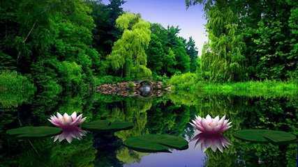 莲花.jpg