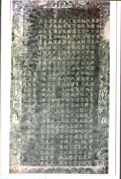 SWScan01142_副本.png
