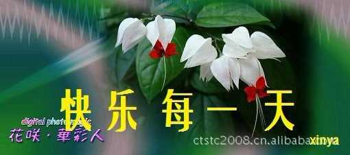 598167395_144141225_副本.jpg