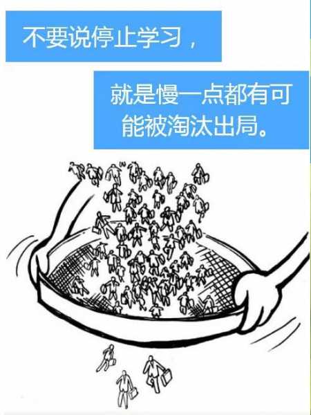 q8.jpg