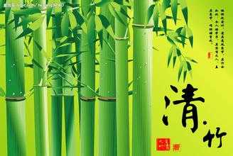 竹.jpg
