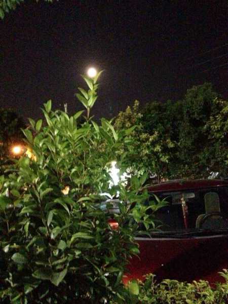 QQ图片20150713112654.jpg