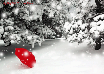 30207138_1.gif