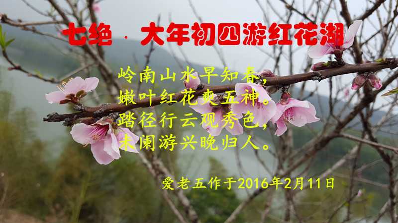 20160211_110414.jpg