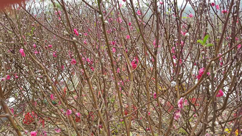 20160211_112554_副本.jpg