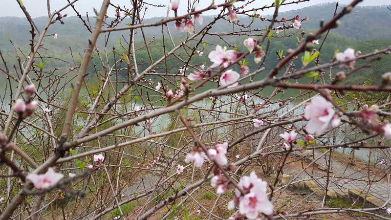20160211_105701_副本.jpg