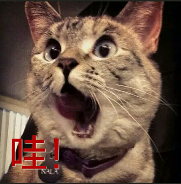 QQ图片20160604170722.png