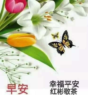 mmexport1587464277072.jpg