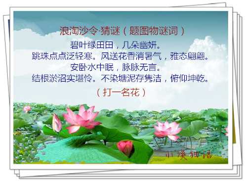aa16f10bf06f939919e522c3ae7d1409_副本.jpg