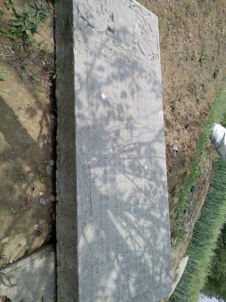 001KmdJfzy7CTxcQth153&690.jpg