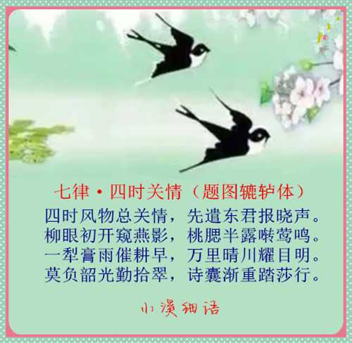 4f8490a037741044aa1343ed604216f0_副本.jpg